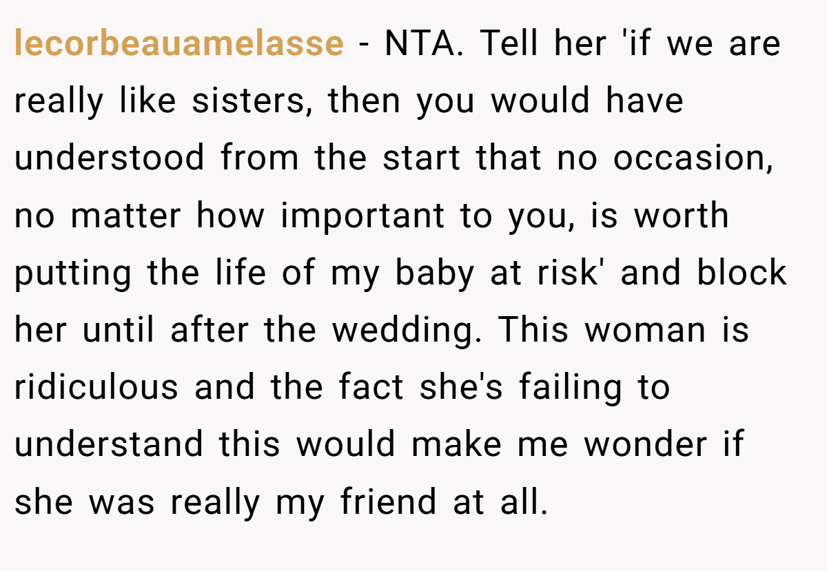 lecorbeauamelasse − NTA. Tell her 'if we are really like sisters, then you would have understood from the start that no occasion, no matter how important to you, is worth putting the life of my baby at risk' and block her until after the wedding. This woman is ridiculous and the fact she's failing to understand this would make me wonder if she was really my friend at all.
