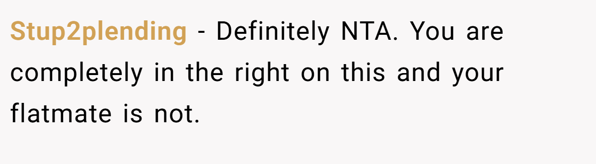 Stup2plending − Definitely NTA. You are completely in the right on this and your flatmate is not.