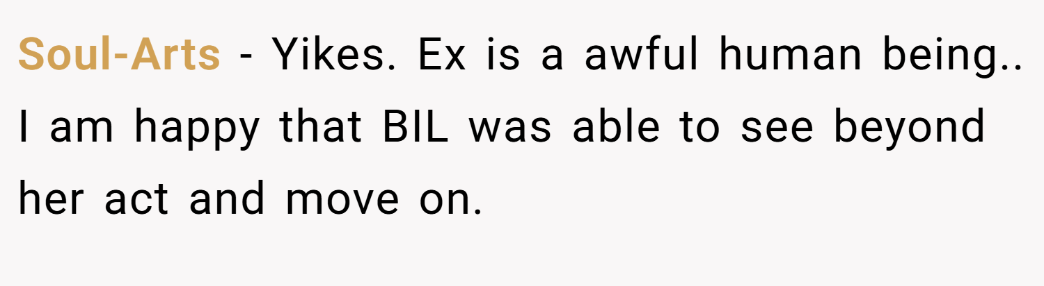 Soul-Arts − Yikes. Ex is a awful human being.. I am happy that BIL was able to see beyond her act and move on.