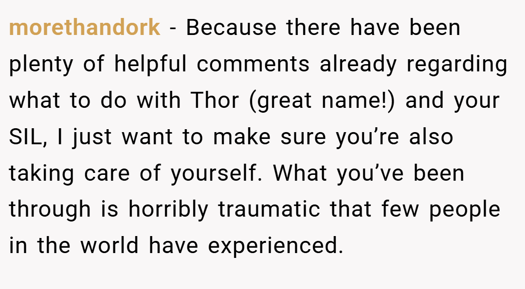morethandork − Because there have been plenty of helpful comments already regarding what to do with Thor (great name!) and your SIL, I just want to make sure you’re also taking care of yourself. What you’ve been through is horribly traumatic that few people in the world have experienced.
