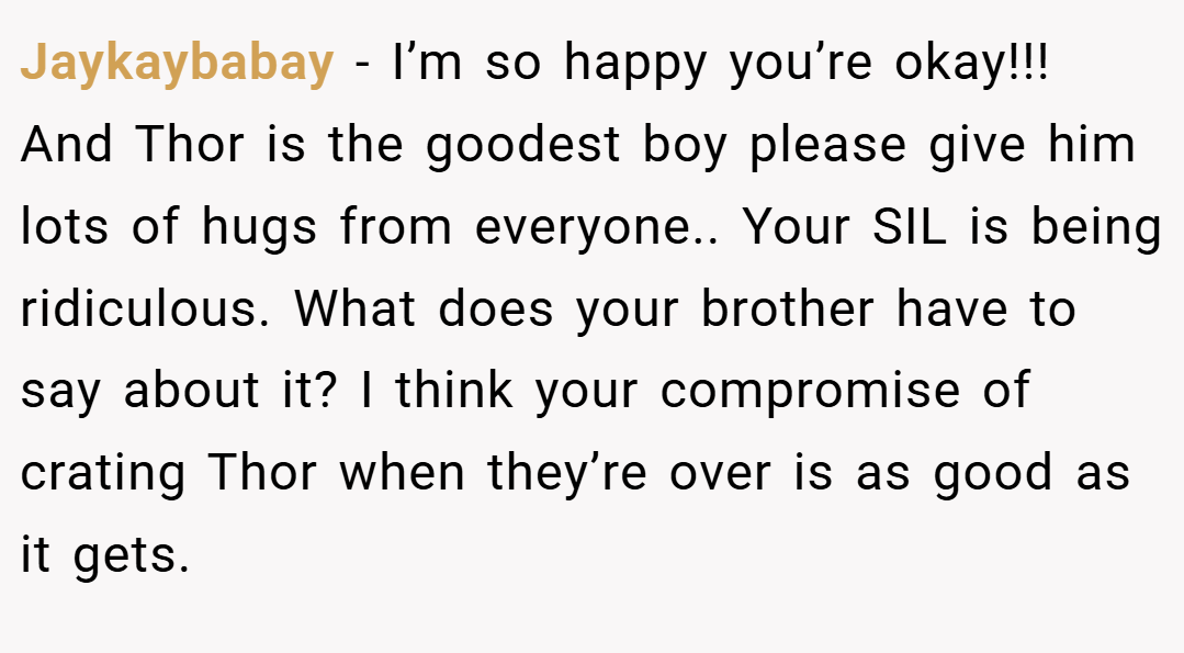 Jaykaybabay − I’m so happy you’re okay!!! And Thor is the goodest boy please give him lots of hugs from everyone.. Your SIL is being ridiculous. What does your brother have to say about it? I think your compromise of crating Thor when they’re over is as good as it gets.