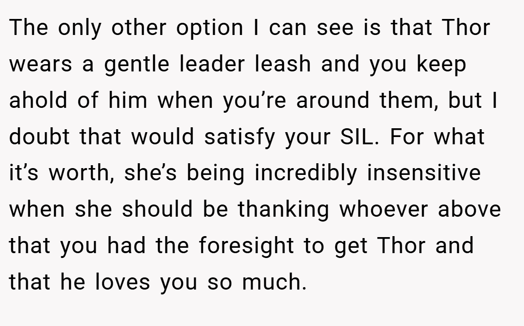 The only other option I can see is that Thor wears a gentle leader leash and you keep ahold of him when you’re around them, but I doubt that would satisfy your SIL. For what it’s worth, she’s being incredibly insensitive when she should be thanking whoever above that you had the foresight to get Thor and that he loves you so much.