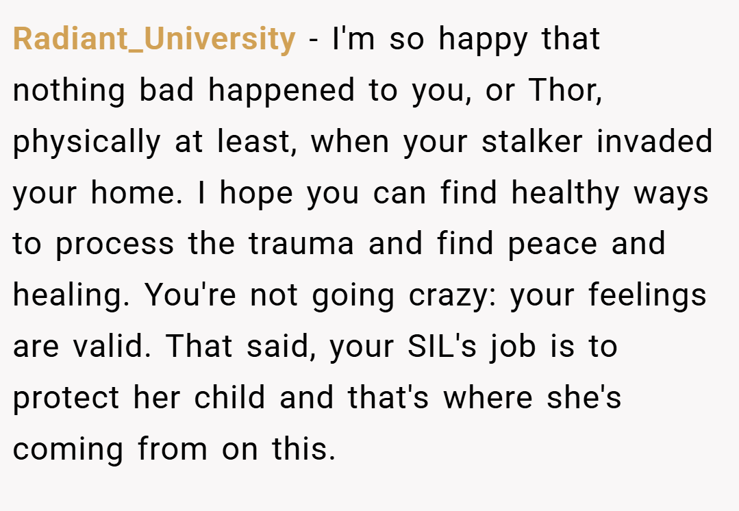 Radiant_University − I'm so happy that nothing bad happened to you, or Thor, physically at least, when your stalker invaded your home. I hope you can find healthy ways to process the trauma and find peace and healing. You're not going crazy: your feelings are valid. That said, your SIL's job is to protect her child and that's where she's coming from on this.