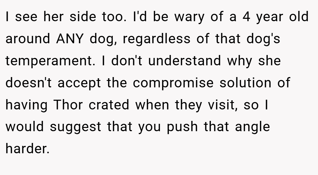 I see her side too. I'd be wary of a 4 year old around ANY dog, regardless of that dog's temperament. I don't understand why she doesn't accept the compromise solution of having Thor crated when they visit, so I would suggest that you push that angle harder.