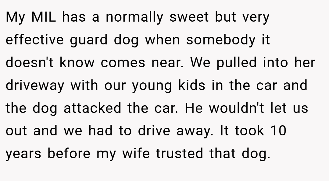 My MIL has a normally sweet but very effective guard dog when somebody it doesn't know comes near. We pulled into her driveway with our young kids in the car and the dog attacked the car. He wouldn't let us out and we had to drive away. It took 10 years before my wife trusted that dog.