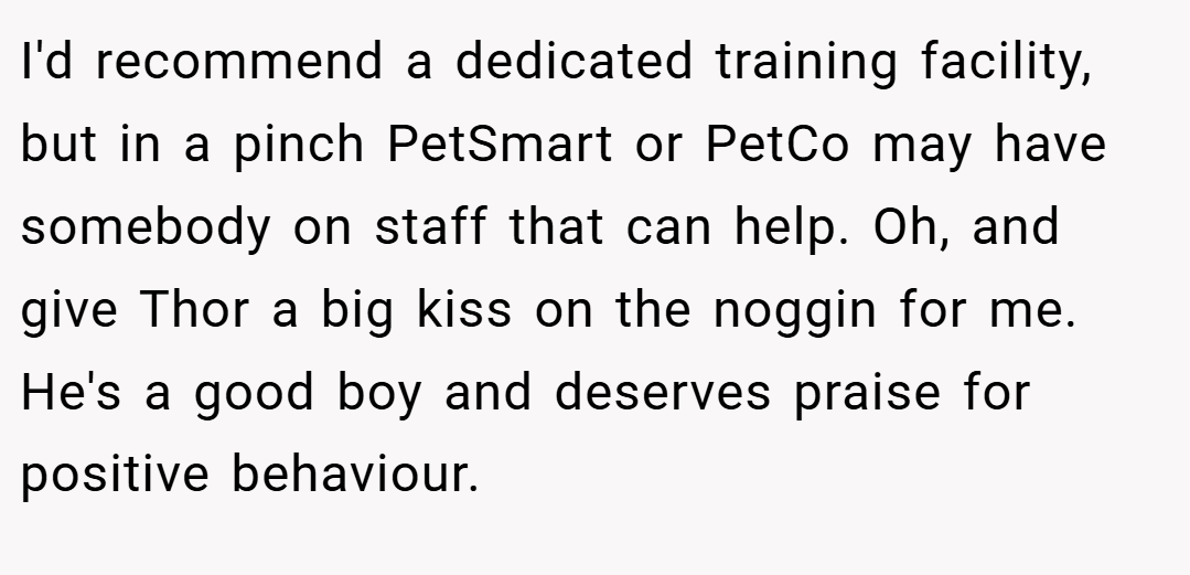 I'd recommend a dedicated training facility, but in a pinch PetSmart or PetCo may have somebody on staff that can help. Oh, and give Thor a big kiss on the noggin for me. He's a good boy and deserves praise for positive behaviour.