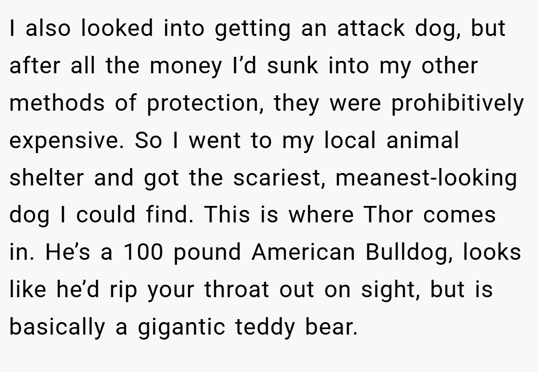 I also looked into getting an attack dog, but after all the money I’d sunk into my other methods of protection, they were prohibitively expensive. So I went to my local animal shelter and got the scariest, meanest-looking dog I could find. This is where Thor comes in. He’s a 100 pound American Bulldog, looks like he’d rip your throat out on sight, but is basically a gigantic teddy bear.