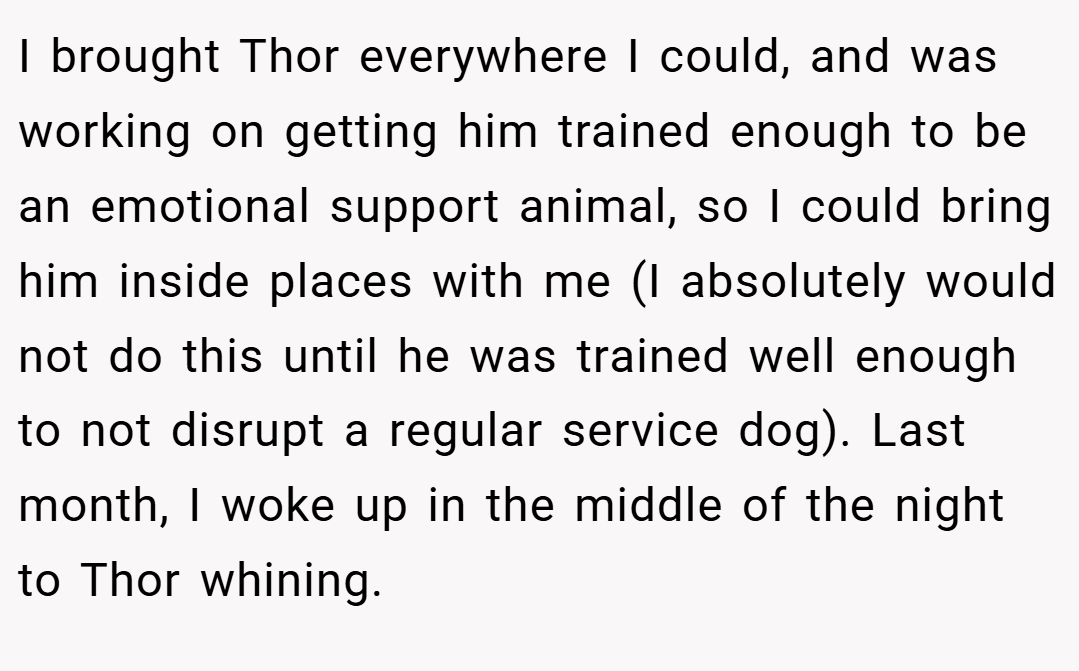 I brought Thor everywhere I could, and was working on getting him trained enough to be an emotional support animal, so I could bring him inside places with me (I absolutely would not do this until he was trained well enough to not disrupt a regular service dog). Last month, I woke up in the middle of the night to Thor whining.