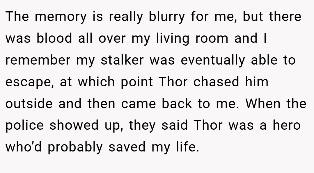 The memory is really blurry for me, but there was blood all over my living room and I remember my stalker was eventually able to escape, at which point Thor chased him outside and then came back to me. When the police showed up, they said Thor was a hero who’d probably saved my life.