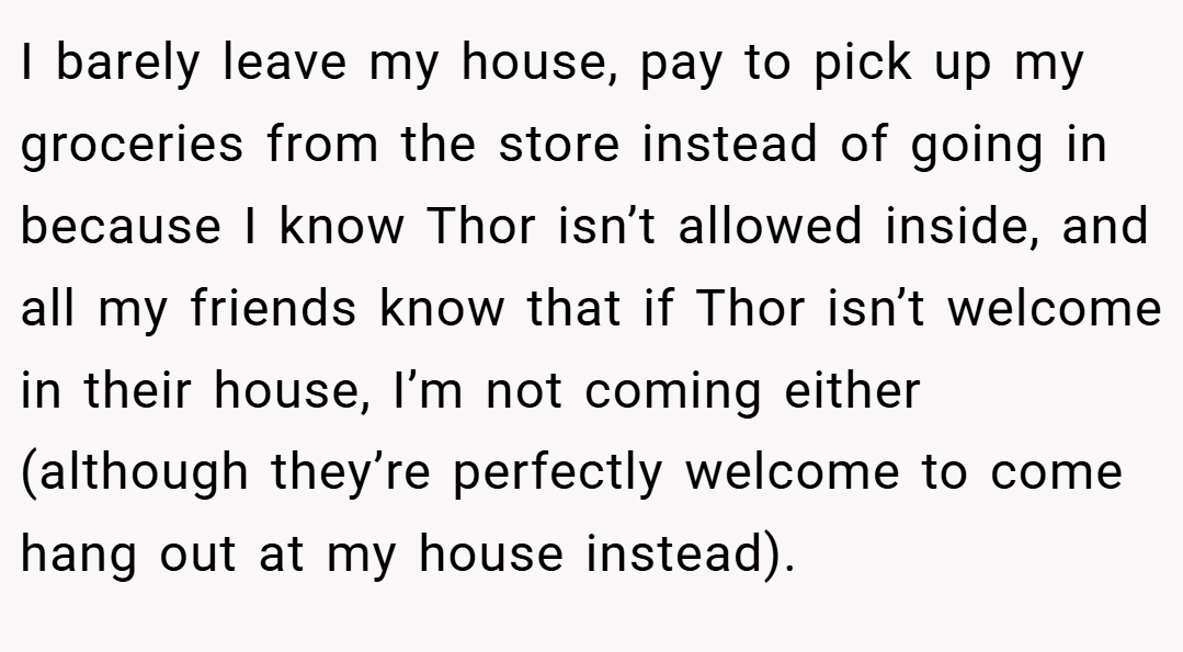 I barely leave my house, pay to pick up my groceries from the store instead of going in because I know Thor isn’t allowed inside, and all my friends know that if Thor isn’t welcome in their house, I’m not coming either (although they’re perfectly welcome to come hang out at my house instead).