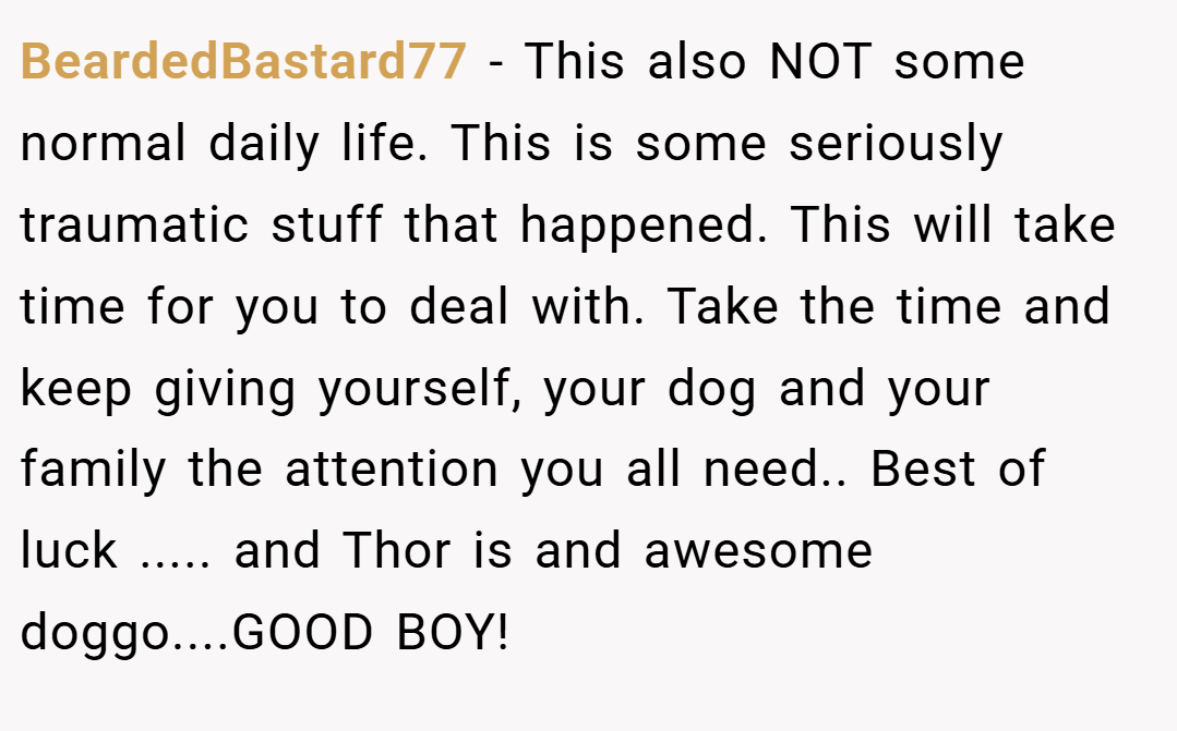 BeardedBastard77 − This also NOT some normal daily life. This is some seriously traumatic stuff that happened. This will take time for you to deal with. Take the time and keep giving yourself, your dog and your family the attention you all need.. Best of luck ..... and Thor is and awesome doggo....GOOD BOY!