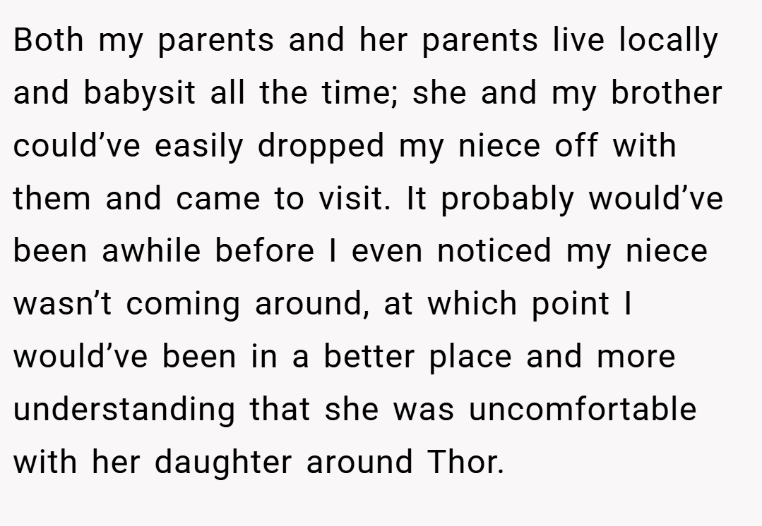 Both my parents and her parents live locally and babysit all the time; she and my brother could’ve easily dropped my niece off with them and came to visit. It probably would’ve been awhile before I even noticed my niece wasn’t coming around, at which point I would’ve been in a better place and more understanding that she was uncomfortable with her daughter around Thor.