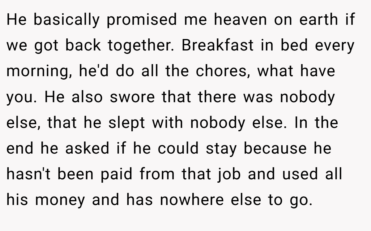 He basically promised me heaven on earth if we got back together. Breakfast in bed every morning, he'd do all the chores, what have you. He also swore that there was nobody else, that he slept with nobody else. In the end he asked if he could stay because he hasn't been paid from that job and used all his money and has nowhere else to go.