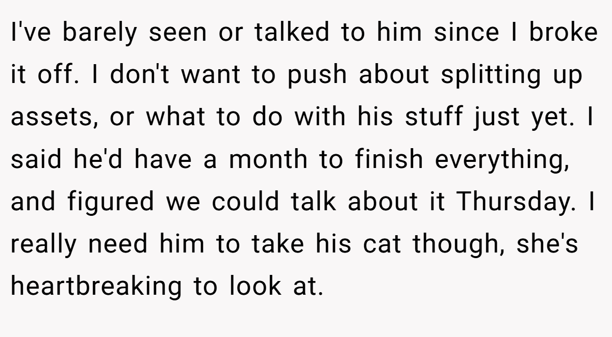 I've barely seen or talked to him since I broke it off. I don't want to push about splitting up assets, or what to do with his stuff just yet. I said he'd have a month to finish everything, and figured we could talk about it Thursday. I really need him to take his cat though, she's heartbreaking to look at.