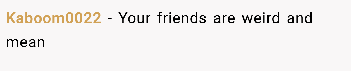 Kaboom0022 − Your friends are weird and mean