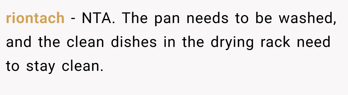 riontach − NTA. The pan needs to be washed, and the clean dishes in the drying rack need to stay clean.