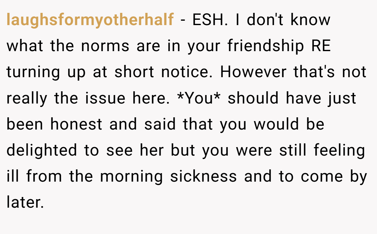 laughsformyotherhalf − ESH. I don't know what the norms are in your friendship RE turning up at short notice. However that's not really the issue here. *You* should have just been honest and said that you would be delighted to see her but you were still feeling ill from the morning sickness and to come by later.