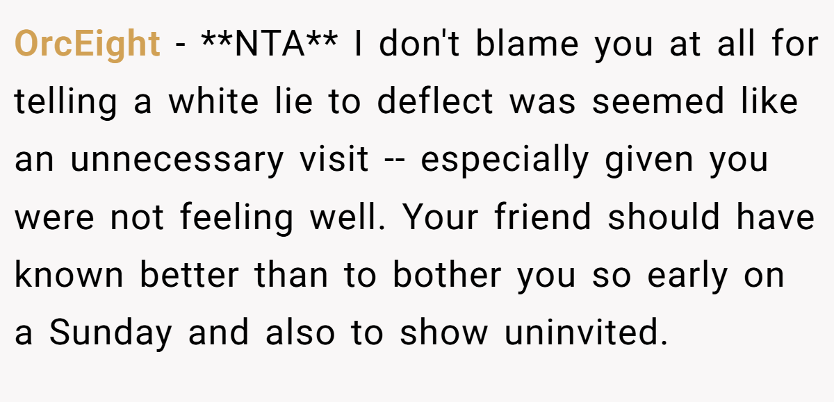 OrcEight − **NTA** I don't blame you at all for telling a white lie to deflect was seemed like an unnecessary visit -- especially given you were not feeling well. Your friend should have known better than to bother you so early on a Sunday and also to show uninvited.