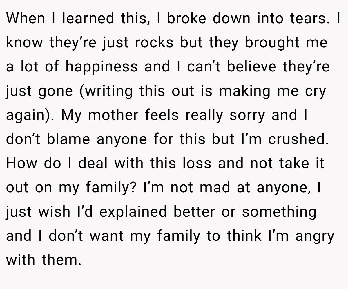 When I learned this, I broke down into tears. I know they’re just rocks but they brought me a lot of happiness and I can’t believe they’re just gone (writing this out is making me cry again). My mother feels really sorry and I don’t blame anyone for this but I’m crushed. How do I deal with this loss and not take it out on my family? I’m not mad at anyone, I just wish I’d explained better or something and I don’t want my family to think I’m angry with them.