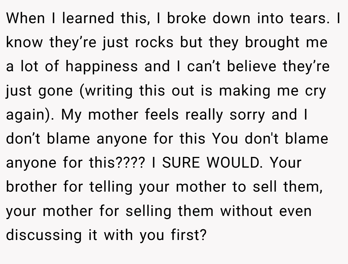 When I learned this, I broke down into tears. I know they’re just rocks but they brought me a lot of happiness and I can’t believe they’re just gone (writing this out is making me cry again). My mother feels really sorry and I don’t blame anyone for this You don't blame anyone for this???? I SURE WOULD. Your brother for telling your mother to sell them, your mother for selling them without even discussing it with you first?