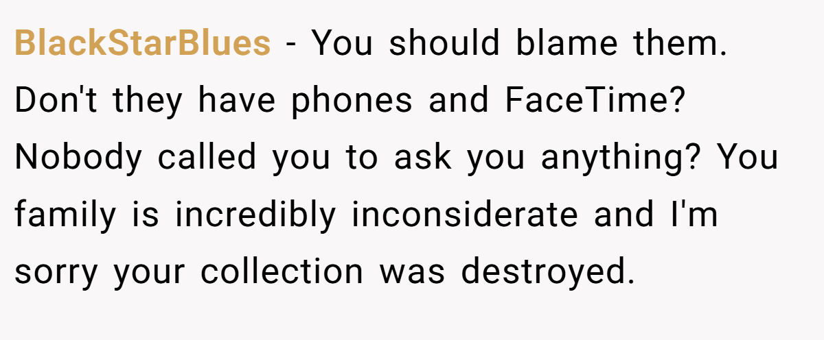 BlackStarBlues − You should blame them. Don't they have phones and FaceTime? Nobody called you to ask you anything? You family is incredibly inconsiderate and I'm sorry your collection was destroyed.