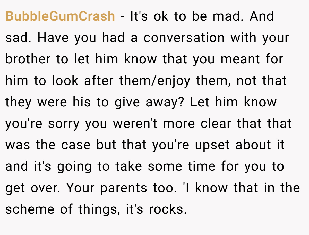 BubbleGumCrash − It's ok to be mad. And sad. Have you had a conversation with your brother to let him know that you meant for him to look after them/enjoy them, not that they were his to give away? Let him know you're sorry you weren't more clear that that was the case but that you're upset about it and it's going to take some time for you to get over. Your parents too. 'I know that in the scheme of things, it's rocks.