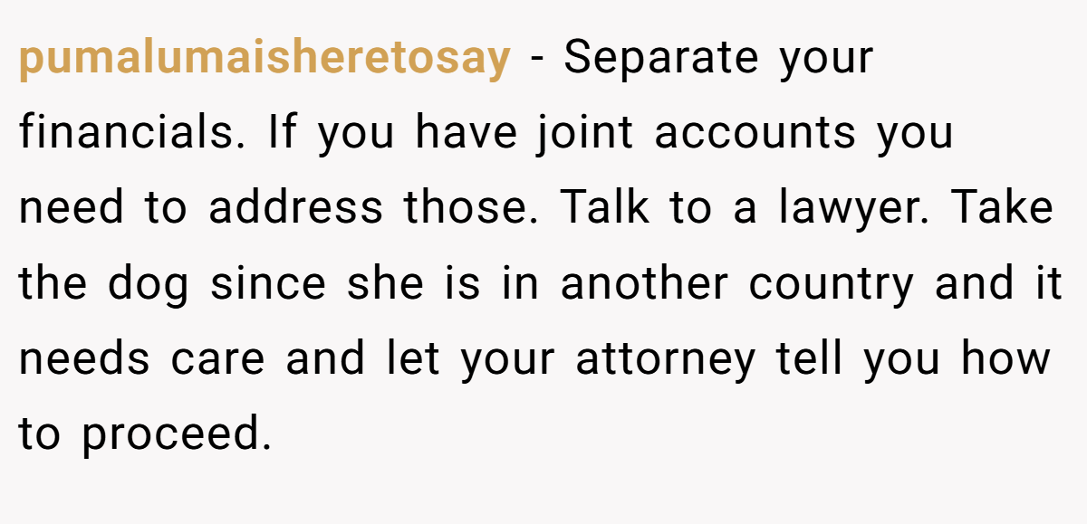 pumalumaisheretosay − Separate your financials. If you have joint accounts you need to address those. Talk to a lawyer. Take the dog since she is in another country and it needs care and let your attorney tell you how to proceed.
