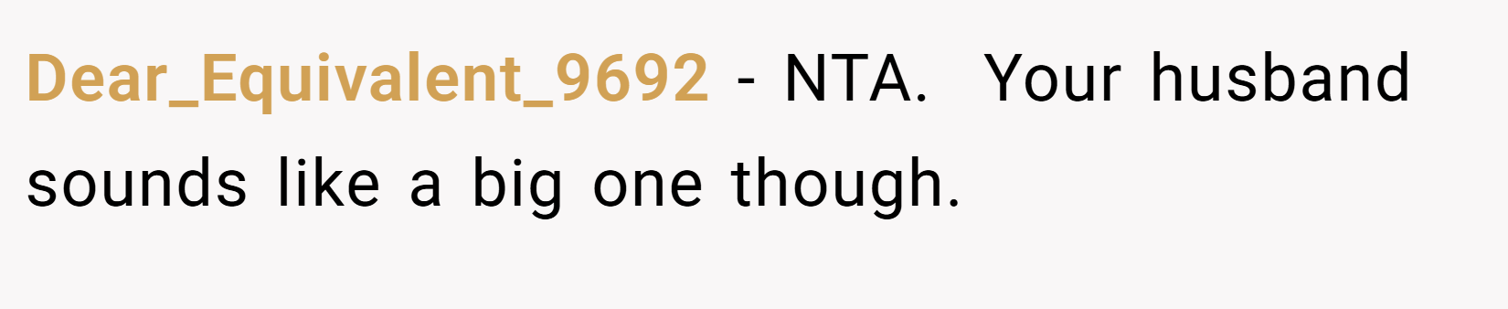 Dear_Equivalent_9692 − NTA.  Your husband sounds like a big one though.
