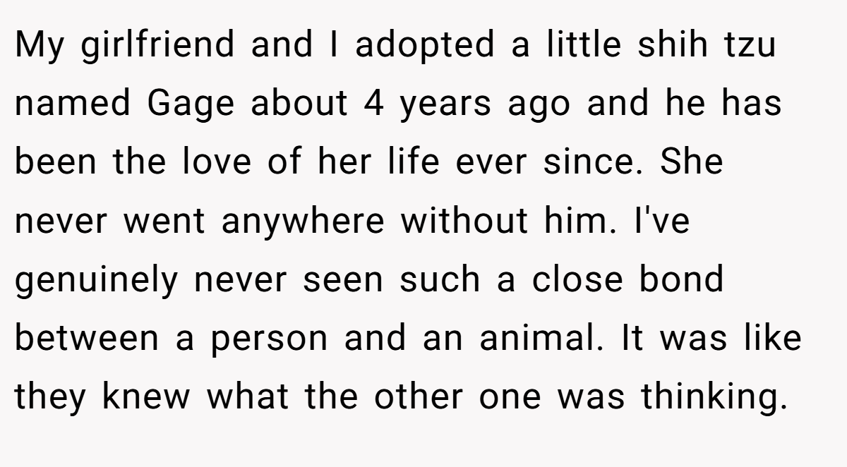 My girlfriend and I adopted a little shih tzu named Gage about 4 years ago and he has been the love of her life ever since. She never went anywhere without him. I've genuinely never seen such a close bond between a person and an animal. It was like they knew what the other one was thinking.