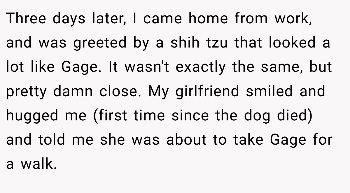 Three days later, I came home from work, and was greeted by a shih tzu that looked a lot like Gage. It wasn't exactly the same, but pretty damn close. My girlfriend smiled and hugged me (first time since the dog died) and told me she was about to take Gage for a walk.