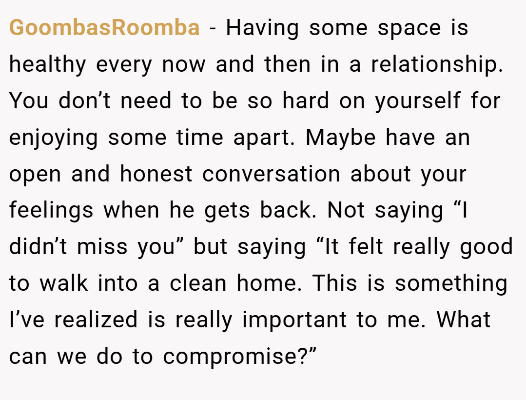 GoombasRoomba − Having some space is healthy every now and then in a relationship. You don’t need to be so hard on yourself for enjoying some time apart. Maybe have an open and honest conversation about your feelings when he gets back. Not saying “I didn’t miss you” but saying “It felt really good to walk into a clean home. This is something I’ve realized is really important to me. What can we do to compromise?”