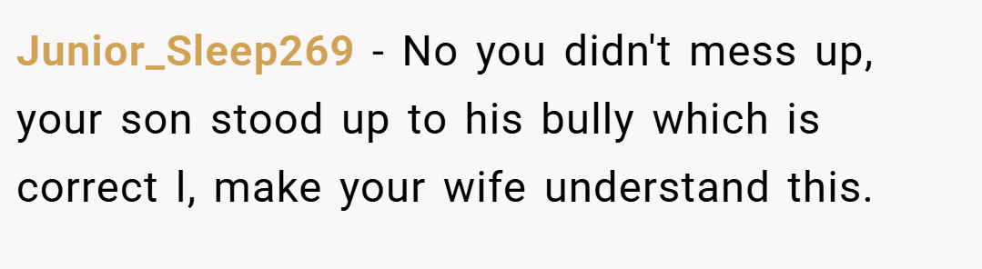 Junior_Sleep269 − No you didn't mess up, your son stood up to his bully which is correct l, make your wife understand this.