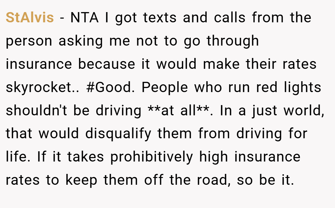 StAlvis − NTA I got texts and calls from the person asking me not to go through insurance because it would make their rates skyrocket.. #Good. People who run red lights shouldn't be driving **at all**. In a just world, that would disqualify them from driving for life. If it takes prohibitively high insurance rates to keep them off the road, so be it.