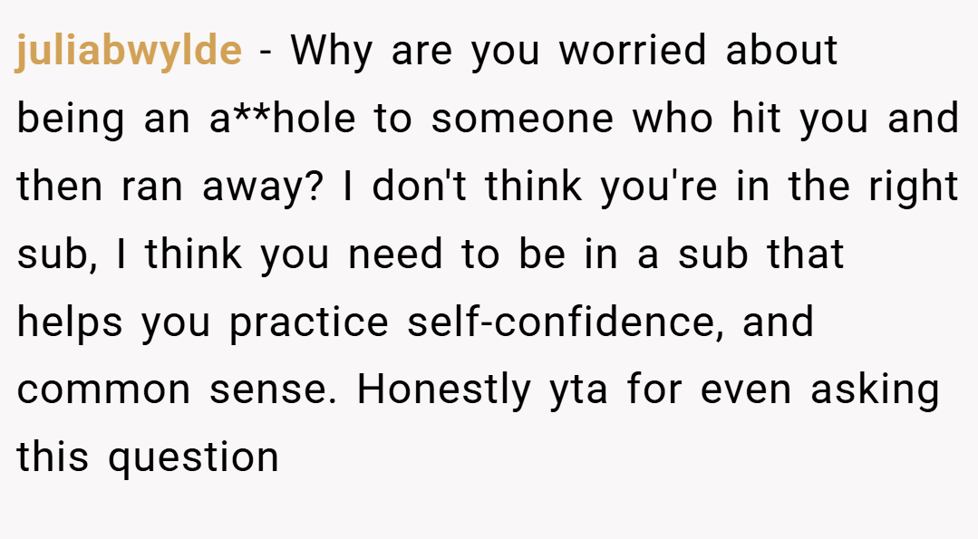 juliabwylde − Why are you worried about being an a**hole to someone who hit you and then ran away? I don't think you're in the right sub, I think you need to be in a sub that helps you practice self-confidence, and common sense. Honestly yta for even asking this question