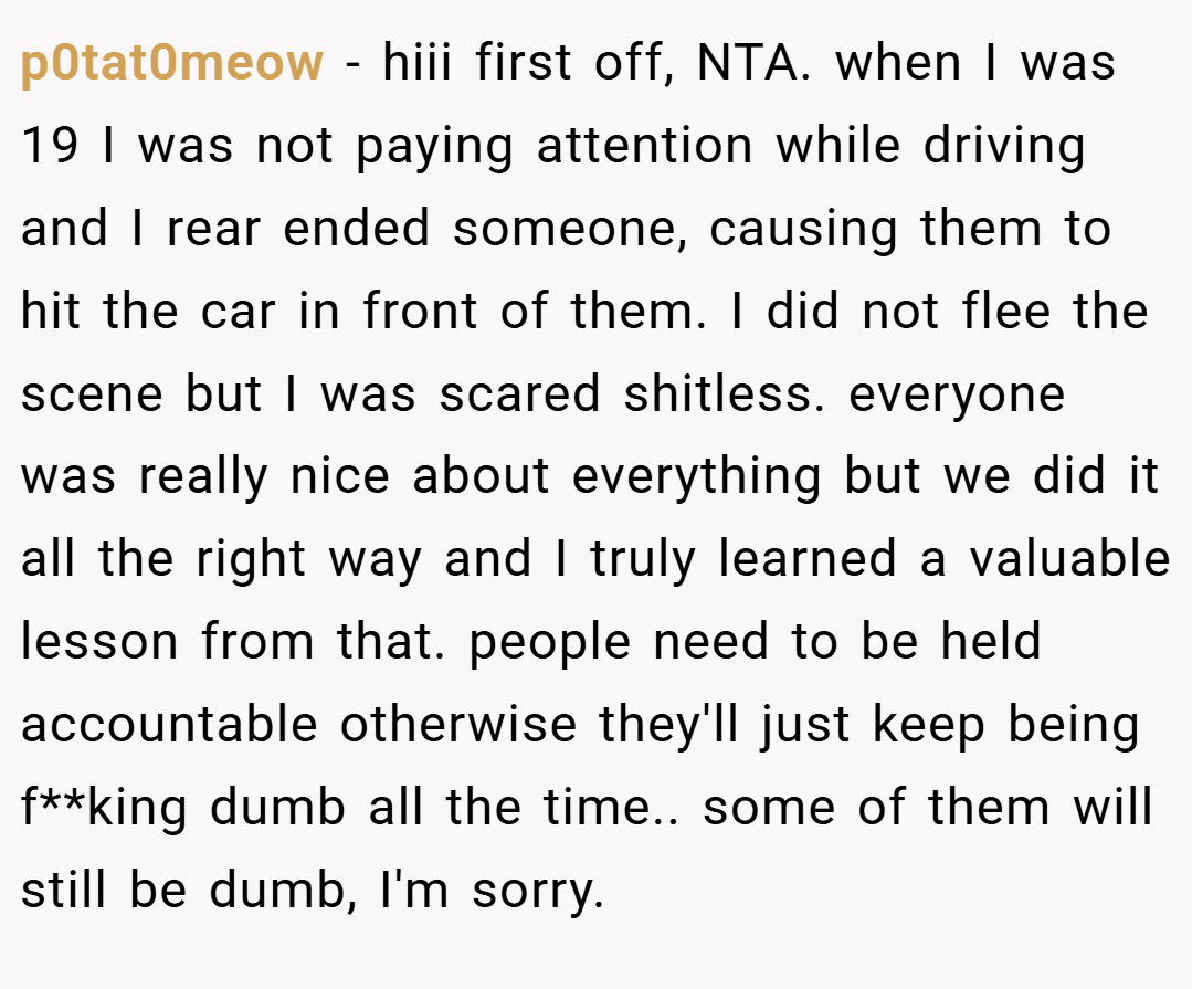 p0tat0meow − hiii first off, NTA. when I was 19 I was not paying attention while driving and I rear ended someone, causing them to hit the car in front of them. I did not flee the scene but I was scared shitless. everyone was really nice about everything but we did it all the right way and I truly learned a valuable lesson from that. people need to be held accountable otherwise they'll just keep being f**king dumb all the time.. some of them will still be dumb, I'm sorry.