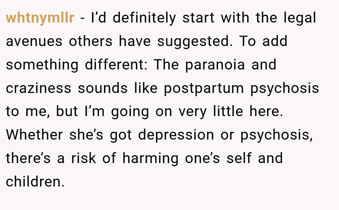 whtnymllr − I’d definitely start with the legal avenues others have suggested. To add something different: The paranoia and craziness sounds like postpartum psychosis to me, but I’m going on very little here. Whether she’s got depression or psychosis, there’s a risk of harming one’s self and children.