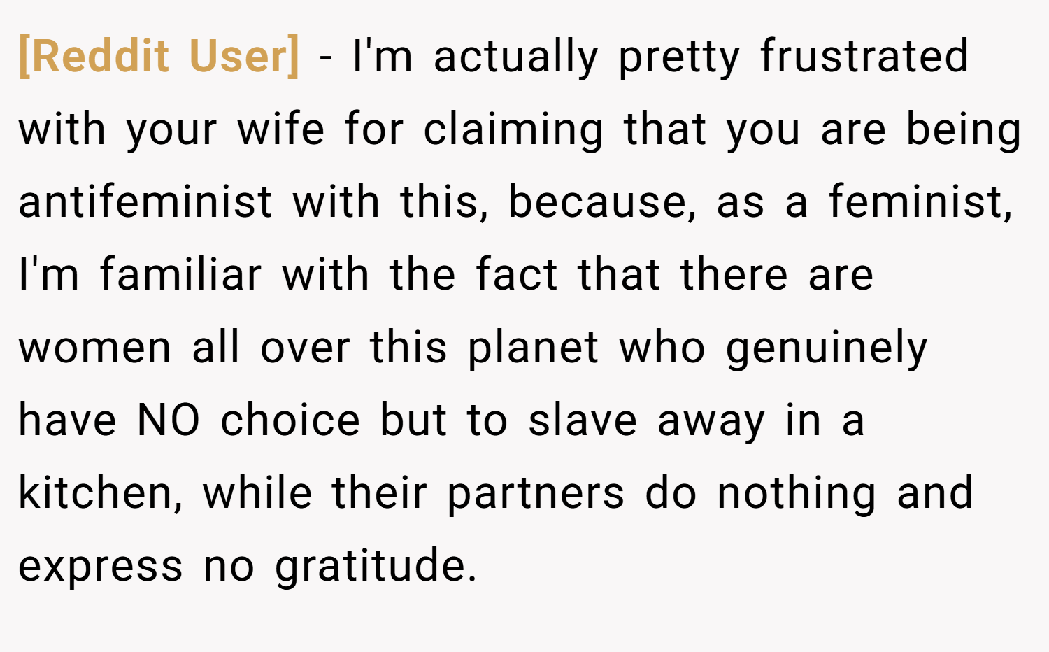 [Reddit User] − I'm actually pretty frustrated with your wife for claiming that you are being antifeminist with this, because, as a feminist, I'm familiar with the fact that there are women all over this planet who genuinely have NO choice but to slave away in a kitchen, while their partners do nothing and express no gratitude.