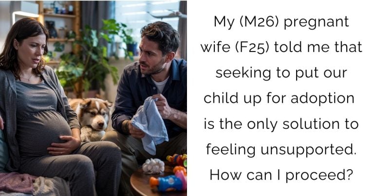 My (M26) pregnant wife (F25) told me that seeking to put our child up for adoption is the only solution to feeling unsupported. How can I proceed?