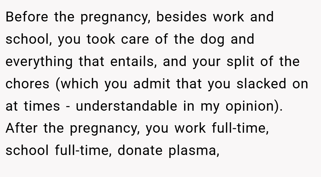 Before the pregnancy, besides work and school, you took care of the dog and everything that entails, and your split of the chores (which you admit that you slacked on at times - understandable in my opinion). After the pregnancy, you work full-time, school full-time, donate plasma,