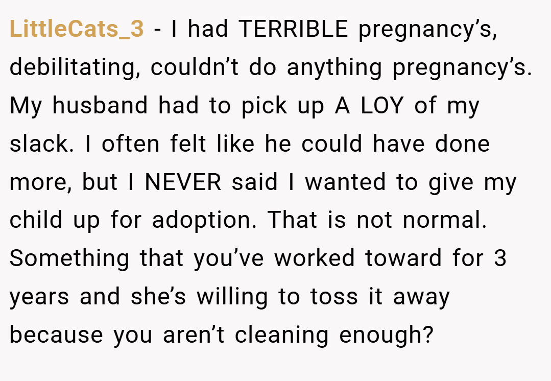LittleCats_3 − I had TERRIBLE pregnancy’s, debilitating, couldn’t do anything pregnancy’s. My husband had to pick up A LOY of my slack. I often felt like he could have done more, but I NEVER said I wanted to give my child up for adoption. That is not normal. Something that you’ve worked toward for 3 years and she’s willing to toss it away because you aren’t cleaning enough?