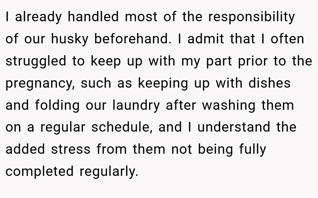 I already handled most of the responsibility of our husky beforehand. I admit that I often struggled to keep up with my part prior to the pregnancy, such as keeping up with dishes and folding our laundry after washing them on a regular schedule, and I understand the added stress from them not being fully completed regularly.