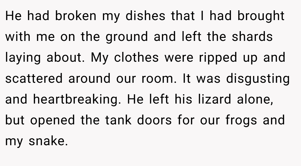 He had broken my dishes that I had brought with me on the ground and left the shards laying about. My clothes were ripped up and scattered around our room. It was disgusting and heartbreaking. He left his lizard alone, but opened the tank doors for our frogs and my snake.