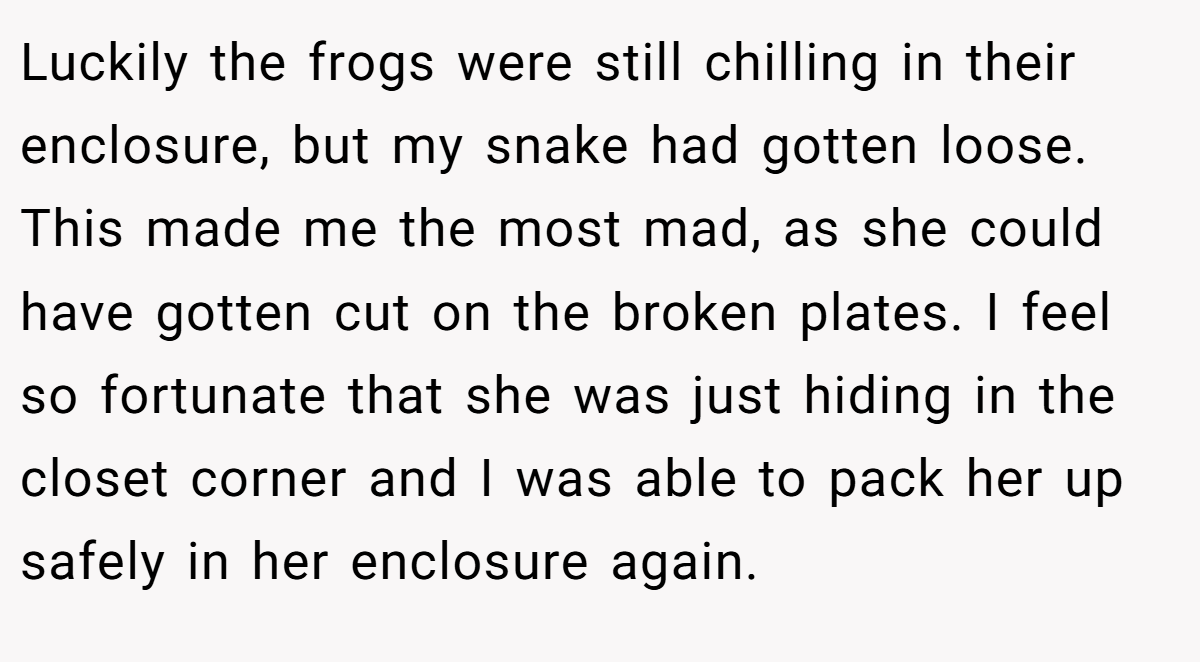Luckily the frogs were still chilling in their enclosure, but my snake had gotten loose. This made me the most mad, as she could have gotten cut on the broken plates. I feel so fortunate that she was just hiding in the closet corner and I was able to pack her up safely in her enclosure again.
