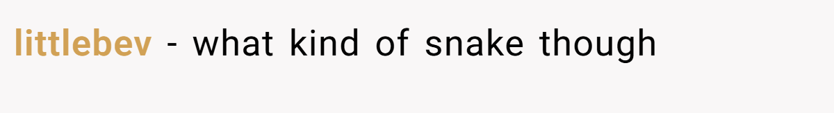 littlebev − what kind of snake though
