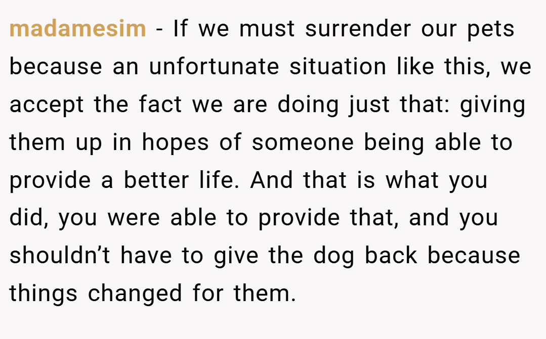 madamesim − If we must surrender our pets because an unfortunate situation like this, we accept the fact we are doing just that: giving them up in hopes of someone being able to provide a better life. And that is what you did, you were able to provide that, and you shouldn’t have to give the dog back because things changed for them.
