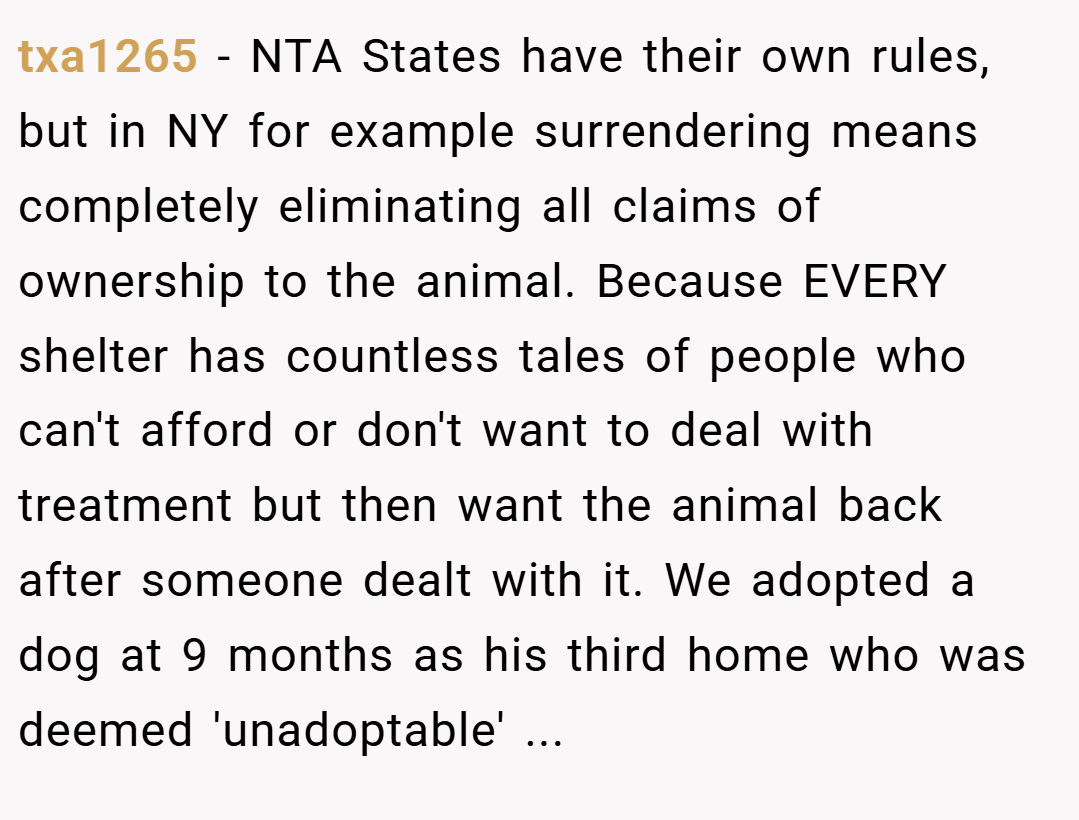txa1265 − NTA States have their own rules, but in NY for example surrendering means completely eliminating all claims of ownership to the animal. Because EVERY shelter has countless tales of people who can't afford or don't want to deal with treatment but then want the animal back after someone dealt with it. We adopted a dog at 9 months as his third home who was deemed 'unadoptable' ...