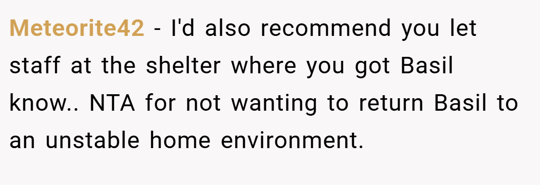 Meteorite42 − I'd also recommend you let staff at the shelter where you got Basil know.. NTA for not wanting to return Basil to an unstable home environment.
