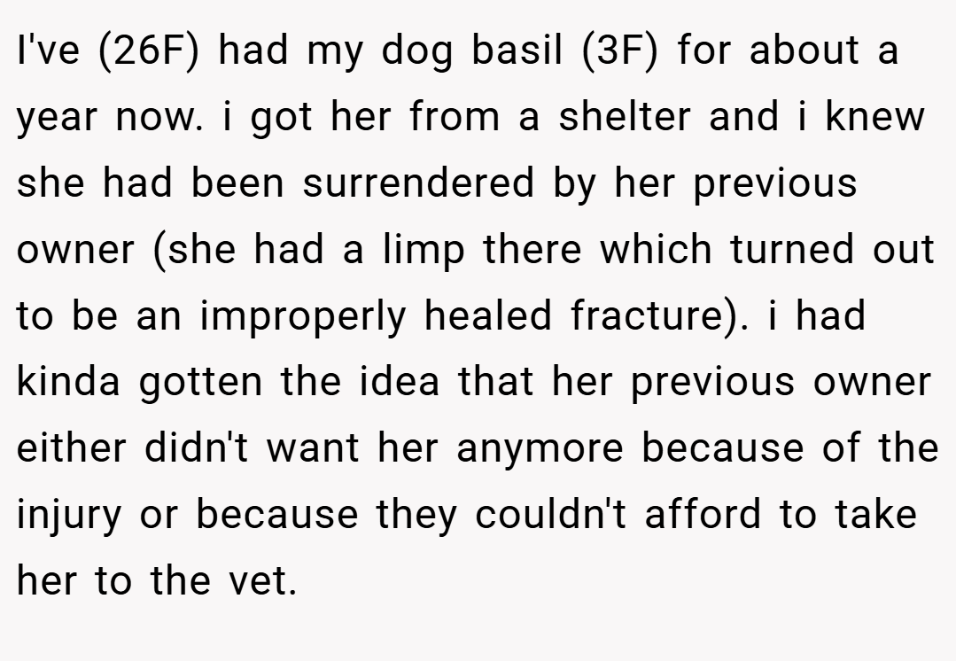 I've (26F) had my dog basil (3F) for about a year now. i got her from a shelter and i knew she had been surrendered by her previous owner (she had a limp there which turned out to be an improperly healed fracture). i had kinda gotten the idea that her previous owner either didn't want her anymore because of the injury or because they couldn't afford to take her to the vet.