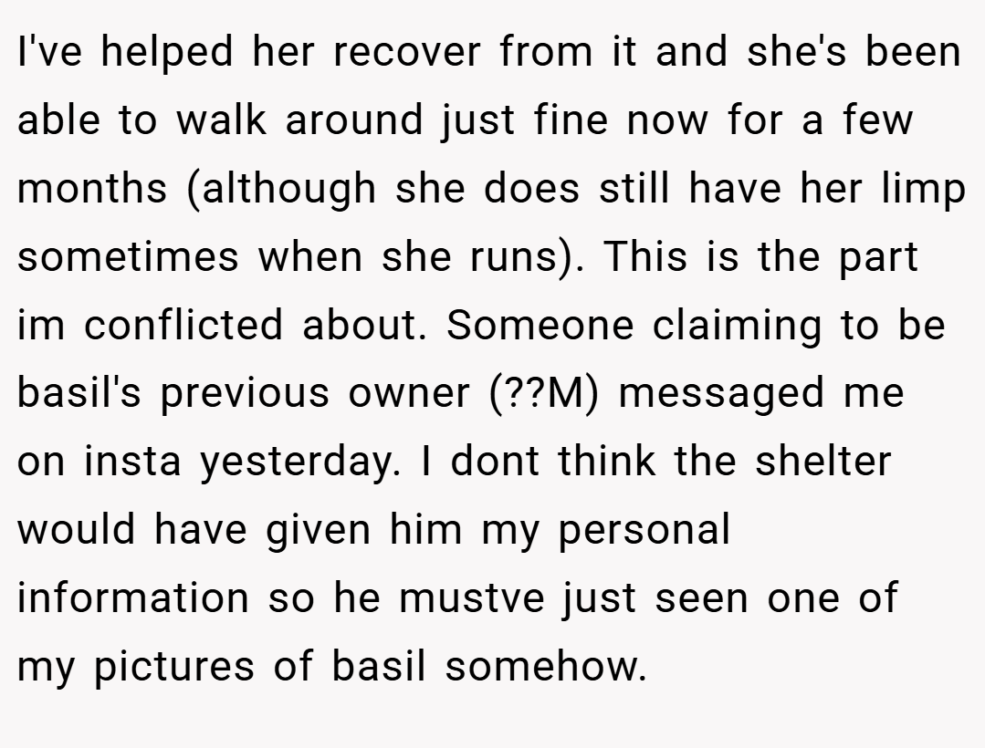 I've helped her recover from it and she's been able to walk around just fine now for a few months (although she does still have her limp sometimes when she runs). This is the part im conflicted about. Someone claiming to be basil's previous owner (??M) messaged me on insta yesterday. I dont think the shelter would have given him my personal information so he mustve just seen one of my pictures of basil somehow.