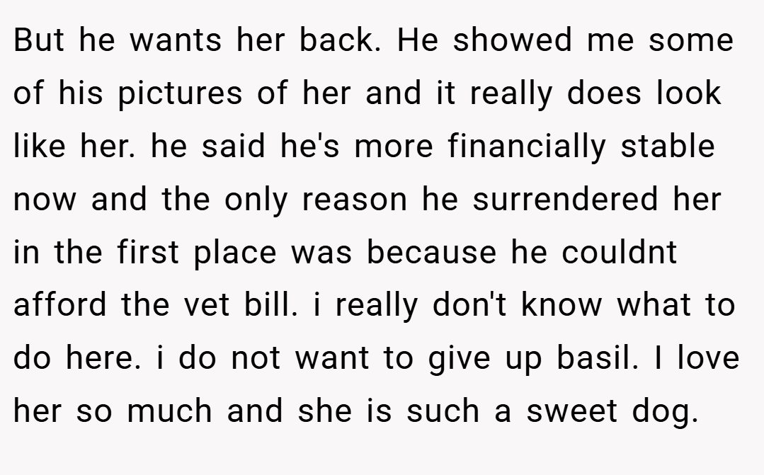 But he wants her back. He showed me some of his pictures of her and it really does look like her. he said he's more financially stable now and the only reason he surrendered her in the first place was because he couldnt afford the vet bill. i really don't know what to do here. i do not want to give up basil. I love her so much and she is such a sweet dog.